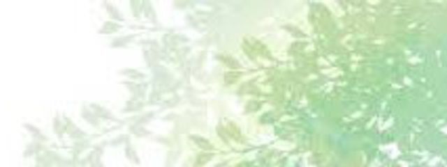 ネムさんさんの壁紙画像