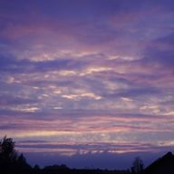 くらげさんのアイコン画像