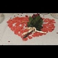 shoyさんのアイコン画像
