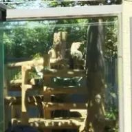 ブーちゃん@🍊🐰🎈🌼🌙✨🍀🌱さんのアイコン画像