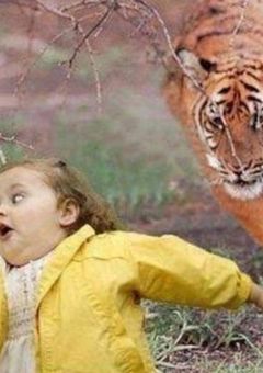 腐女子／腐男子同盟