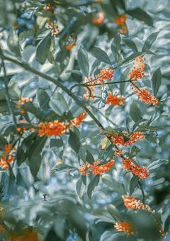 君を愛することだけが