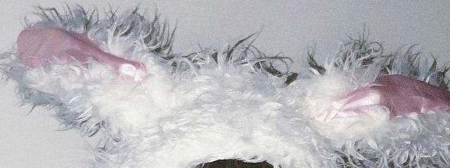 네운さんの壁紙画像