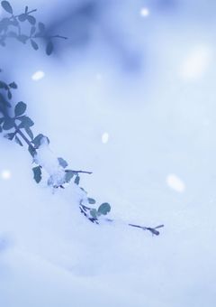 僕たちはきっと、愛するのが下手なんだ