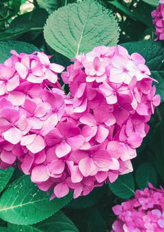 For you  〜R18短編集