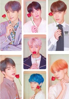 ヘビとクジラは鍵盤で躍る