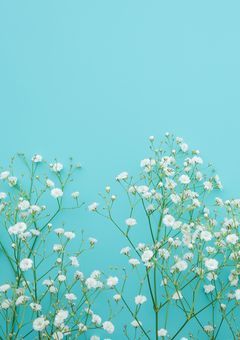 続・ニセ婚〜だから好きって言いたい