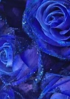 モブに生まれたただのオタクなんですけど！？