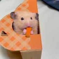 はるまるさんのアイコン画像