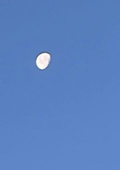 女学生だけど戦争に行って軍人に好かれちゃったりする夢小説