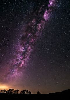 裏リーダ、医者をしていた。