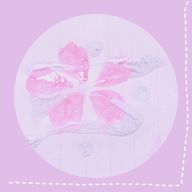 ✾bloom✾さんのアイコン画像