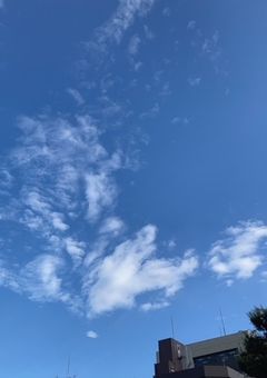 『きびのお友達探し』