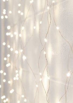 私を助けてくれたのは……