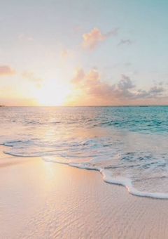 今日好き 🍒桜桃編🍒