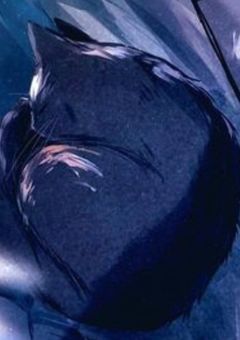 黒猫に導かれて