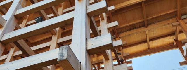 #フクロウちゃん　#올빼미　#ふくちゃんさんの壁紙画像