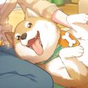 穂波@しばお愛好家