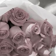 聖衣さんのアイコン画像