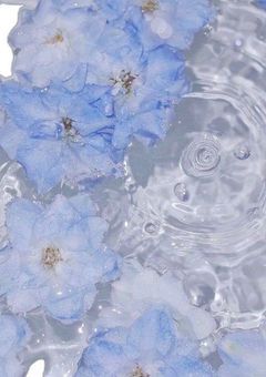 𝖲𝗁𝗎𝗇𝗍𝗈 𝗂𝗇𝖿𝖺𝗇𝗍𝗂𝗓𝖺𝗍𝗂𝗈𝗇