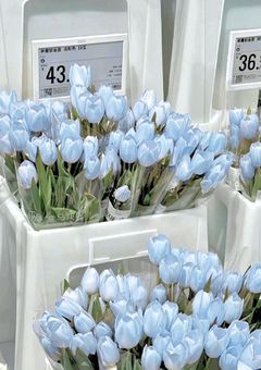 𝖬𝖠𝖹𝖹𝖤𝖫 幼児化⁉️