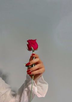 ❤️世界一のお姫様