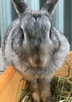 小梅ちゃん専用！