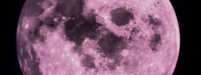 ﾚﾃﾝﾁｬﾝ🥖🌹🎷さんの壁紙画像