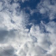 らぞ#抹茶が好きな人さんのアイコン画像