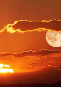 何が真実で何が事実？_　３　_　　💙