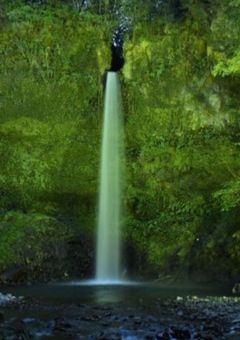 🎲IRIS 短編集　2