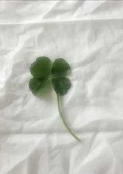 彼 等 の 裏 側　．