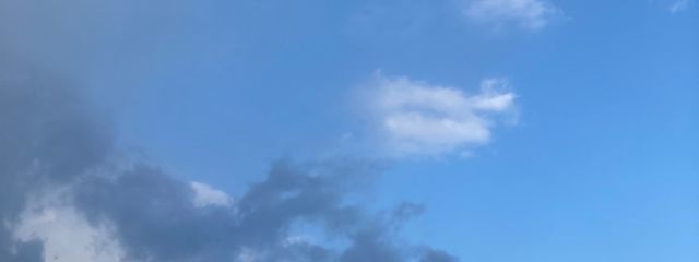 いももちさんの壁紙画像