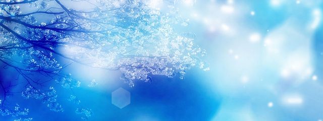 すずねさんの壁紙画像