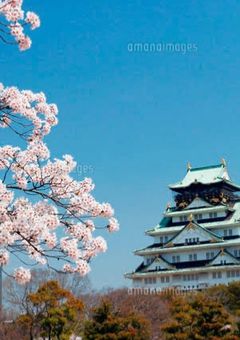 男のふりをするくノ一