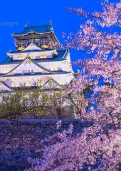 男のふりをするくノ一