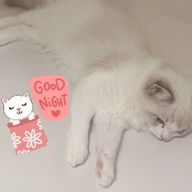 aiさんのアイコン画像