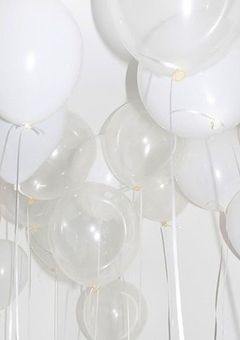 浅見めいブラコンになる。