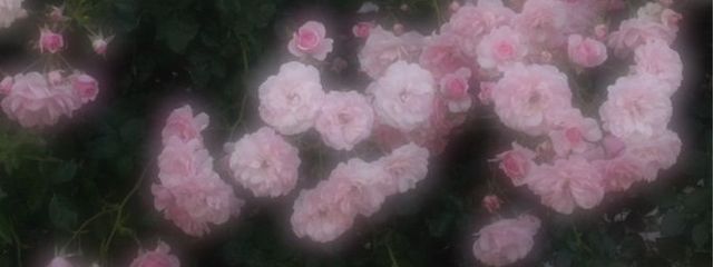 カヌレさんの壁紙画像