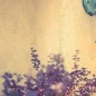 kpoploverさんのアイコン画像