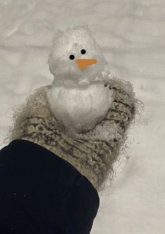 スノ家の忙しない毎日