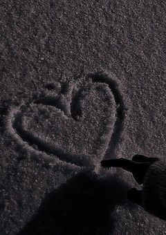 兄弟に恋をしてしまいました