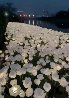 須 野 家 の 日 常