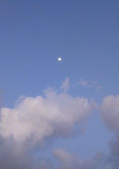 溺愛しちゃってごめんね