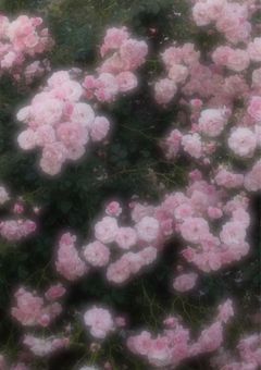 　　僕が恋した君は　、