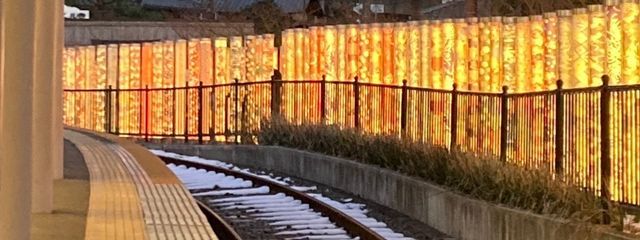 ゆーさんの壁紙画像