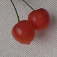 yamaaaさんのアイコン画像