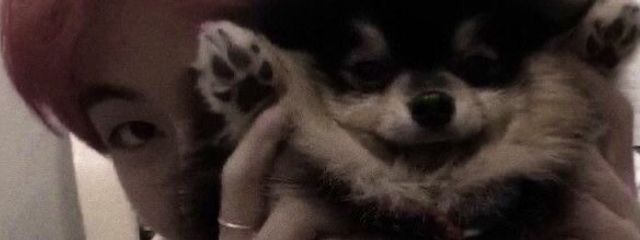 うい 🍀🗝さんの壁紙画像