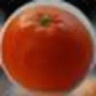 ひろみかん🍊さんのアイコン画像
