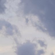 マアムさんのアイコン画像